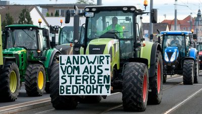 EU-Minister und Europaparlament suchen Kompromiss zu Agrarpolitik