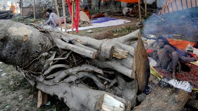 Mehrere Tote durch Zyklon „Tauktae“ in Indien – Kampf gegen Covid-19 erschwert