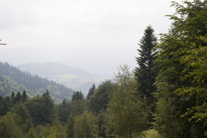 Wandrers Nachtlied – Von Johann Wolfgang von Goethe 