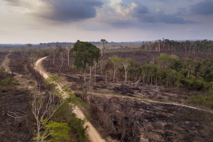 Brasiliens Umweltminister des illegalen Holzhandels verdächtigt