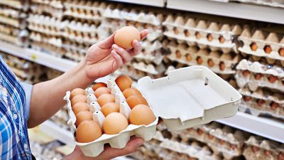 Klöckner: Eier werden „ein paar Cent teurer werden“