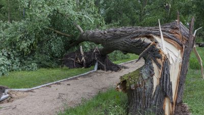 Gewitterfront mit Tornado im Münsterland – rund 30 Häuser betroffen