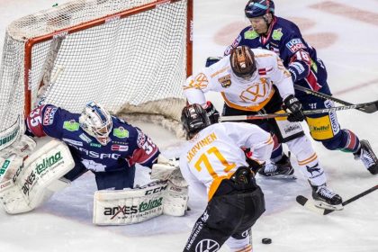 Eisbären oder Wolfsburg: Wer wird 100. deutscher Meister?