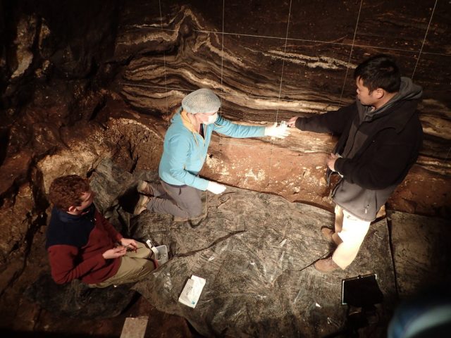 DNA unserer Vorfahren aus der Denisova-Höhle