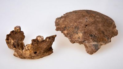 Neue Menschenart in Israel und DNA-Spuren in Denisova-Höhle entdeckt – „Drachenmann“ könnte Neandertaler ablösen