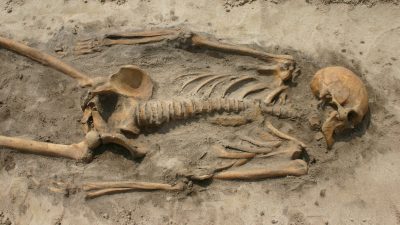 Archäologen finden Skelette von verwandten Wikingern in Dänemark und England