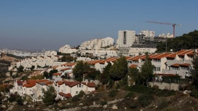 „So etwas haben wir noch nie gesehen“: Rückkehr der „Winter-Viren“ in Israels Sommer