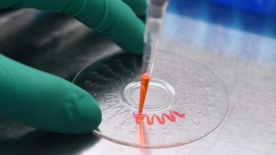 Laborthese „zu umständlich“: Charité-Virologe Drosten glaubt nicht an Virus aus Labor
