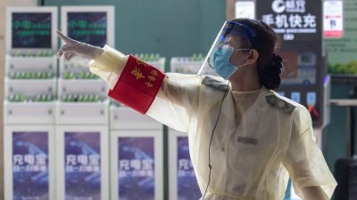 Es gab Fledermäuse im Wuhan-Labor: Video widerlegt Aussagen von WHO-Forschungsmitarbeiter Daszak