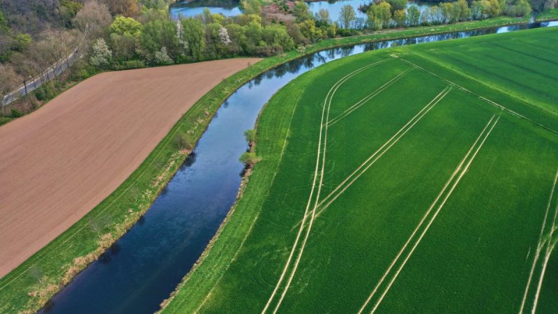 Pestizide von Feldern belasten deutsche Gewässer.