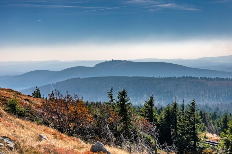 Klassik des Tages: Konzert für Horn und Orchester