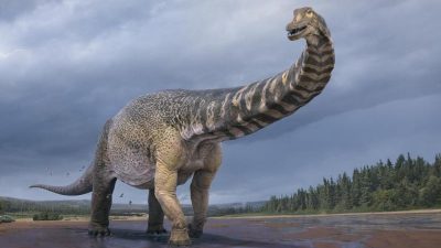 Australotitan cooperensis: Forscher entdecken größte Dinosaurierart Australiens