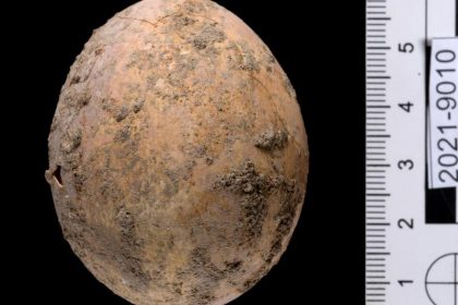 Israelische Archäologen finden rund 1000 Jahre altes Hühnerei