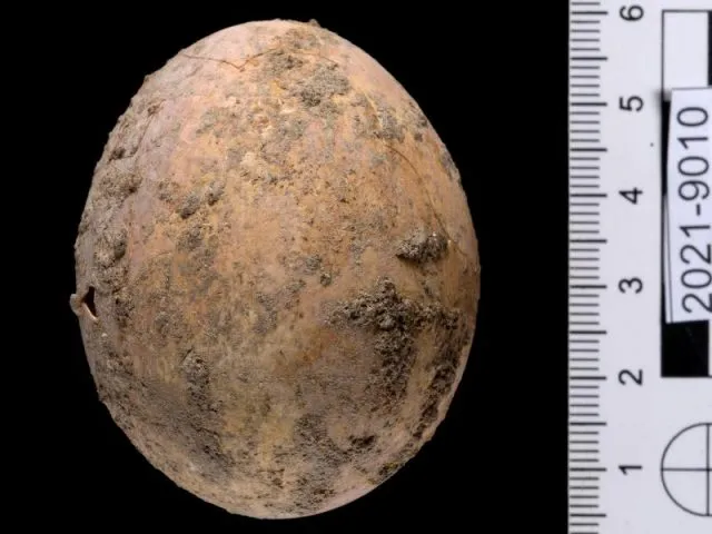 1000 Jahre Hühnerei aus Israel
