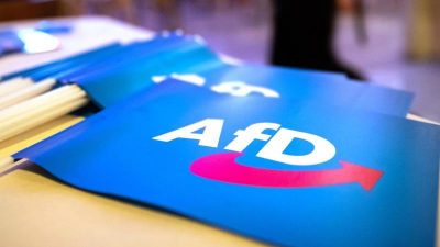 AfD-Vorstand setzt niedersächsischen Landesvorstand unter Druck