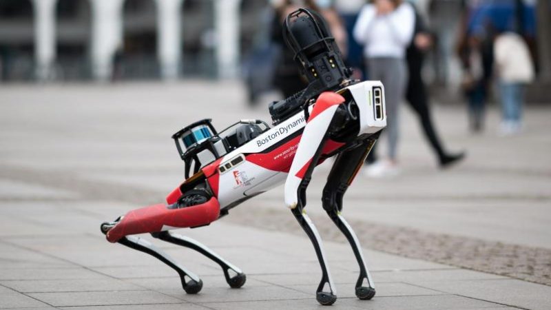 Roboterhund im Anmarsch? Das sollten Sie wissen