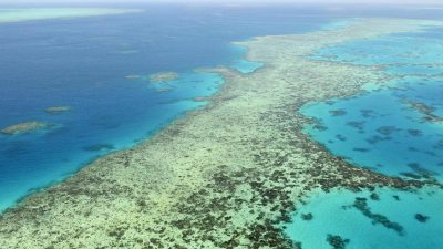 Australien kämpft um Welterbe-Status des Great Barrier Reefs
