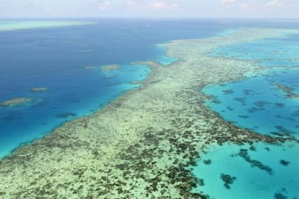 Australien kämpft um Welterbe-Status des Great Barrier Reefs