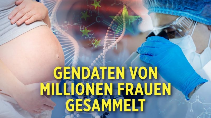 Chinas Gen-Firma sammelt genetische Daten von Millionen schwangeren Frauen