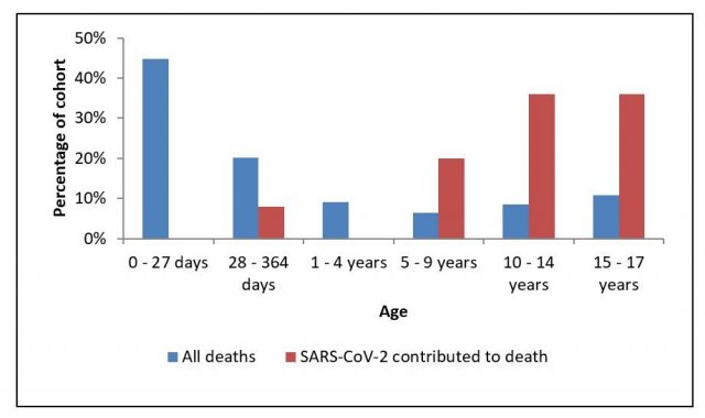 Todesfälle aller Todesursachen und COVID-19 nach Altersgruppen.