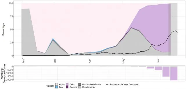 Genotypisierter Fälle nach Virusvarianten in England. Foto: Public Health England