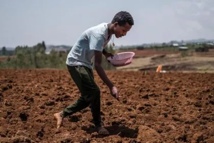 Business-Analyst warnt vor „westlichem Öko-Imperialismus in Afrika“