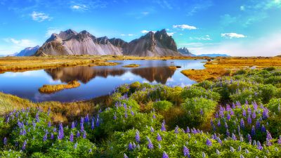 „Icelandia“: Island könnte die Spitze eines riesigen, versunkenen Kontinents sein