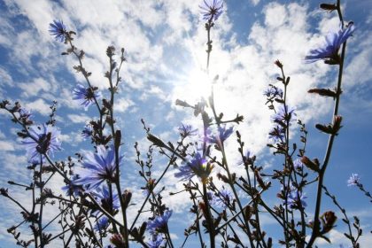 Hoch “Dana” verringert zumindest zeitweise Unwettergefahren