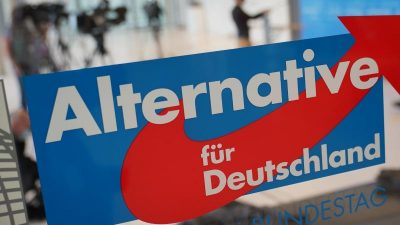 Ablehnung aus den anderen Parteien gegen Bundestagsvizeposten für AfD