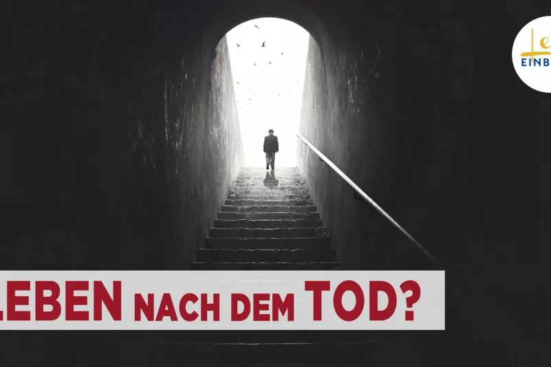 top-article-image
