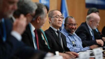 6. IPCC Klimabericht: Umweltministerium fordert Grundgesetzänderung – AfD spricht von „Panikmache“