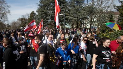 Österreich: Ein Fünftel der Teilnehmer an Corona-Protesten hatte Grüne gewählt