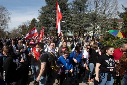 Österreich: Ein Fünftel der Teilnehmer an Corona-Protesten hatte Grüne gewählt