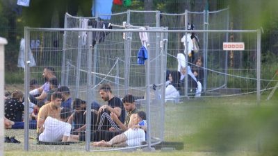 Litauen: Belarussische Grenzposten übertreten Grenze beim Schleusen von Migranten