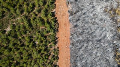 Brände in Griechenland breiten sich weiter aus – Regen sorgt in Türkei für Erleichterung