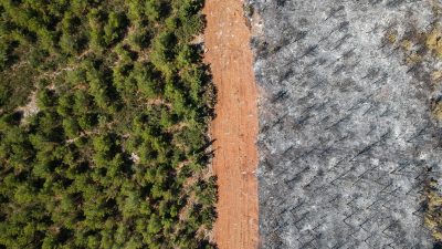 Brände in Griechenland breiten sich weiter aus – Regen sorgt in Türkei für Erleichterung