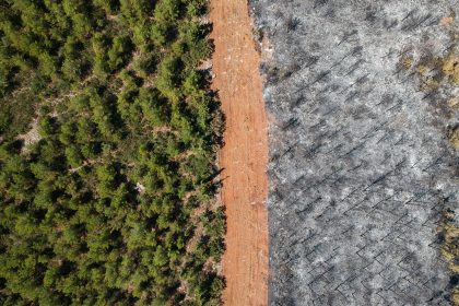 Brände in Griechenland breiten sich weiter aus – Regen sorgt in Türkei für Erleichterung