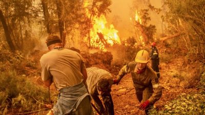 Brennen die Wälder in Griechenland für zukünftige Windkraftparks?