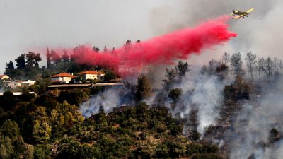 Israel bittet wegen Waldbrands nahe Jerusalem Ausland um Hilfe