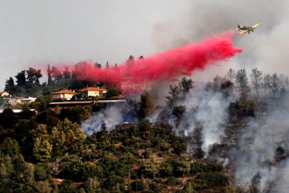 Israel bittet wegen Waldbrands nahe Jerusalem Ausland um Hilfe