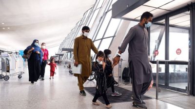 Habeck: Werden für lange Zeit keine abgelehnten oder straffälligen Afghanen abschieben können