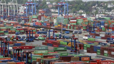 Bürokratische Hürden: Verband beklagt Widrigkeiten im Außenhandel