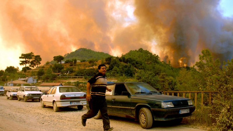 Verheerende Waldbrände in der Türkei: Militante Kurden bekennen sich zu Brandstiftung