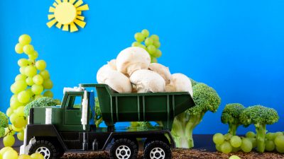 Berliner Autobahn soll Gemüsefarm werden