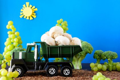 Berliner Autobahn soll Gemüsefarm werden