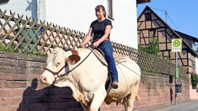 Berittene Kuh Melina: Sonja Keller hoch zu Rind