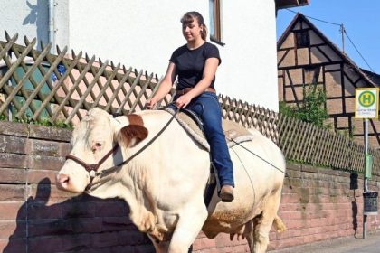 Berittene Kuh Melina: Sonja Keller hoch zu Rind