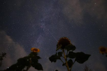 Feuerwerk kosmischer Teile – Perseiden verglühen am Himmel