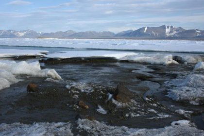 Dänische Forscher entdecken wohl nördlichste Insel der Welt