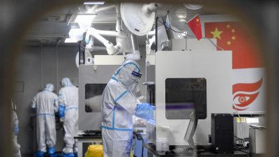 Wuhan-Labor plante Freisetzung genmanipulierter Viren in Fledermaushöhlen